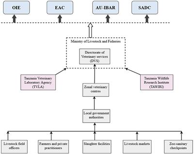 Mechanisms and Contextual Factors Affecting the Implementation of Animal Health Surveillance in Tanzania: A Process Evaluation